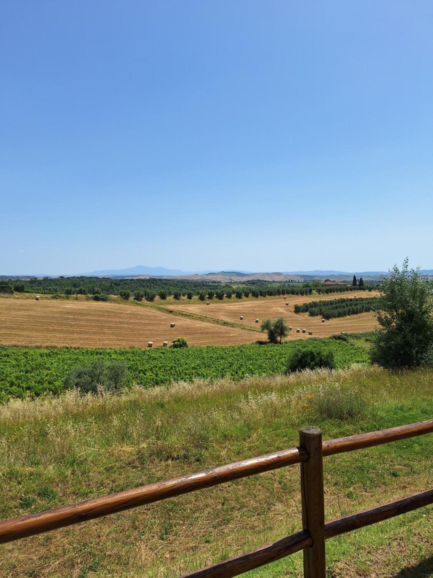 Casa Paola Nel Chianti Bed & Breakfast Castelnuovo Berardenga Ngoại thất bức ảnh
